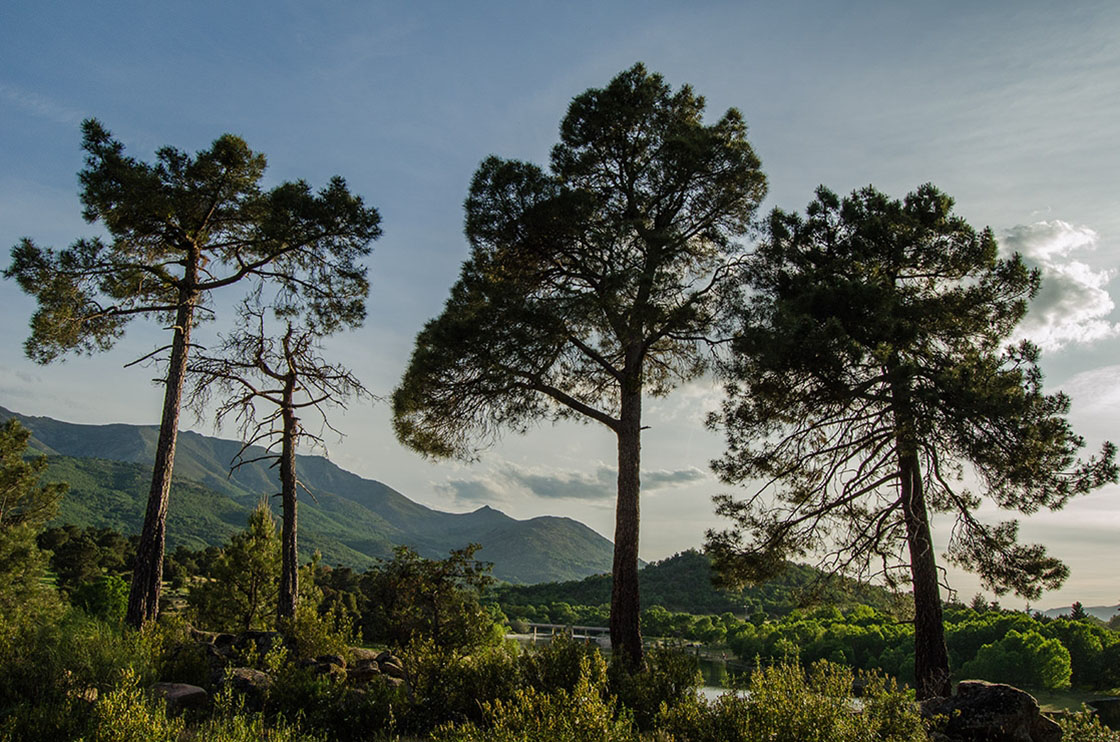 Pantano de Burguillo, cerca de Navaluenga, Ávila Pantano de Burguillo