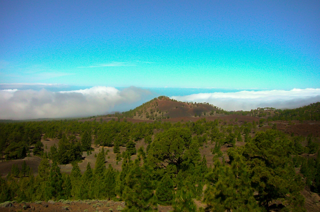 Cerca del Teide Cerca del Teide