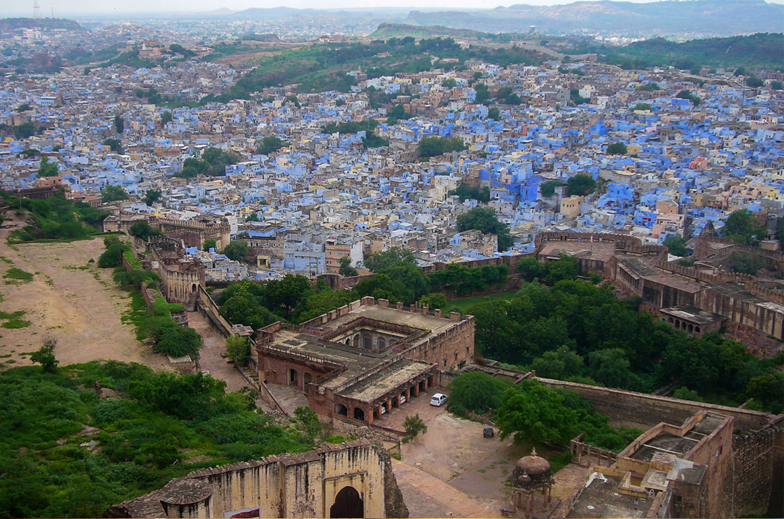 Jodhpur Una vaca en Jodhpur