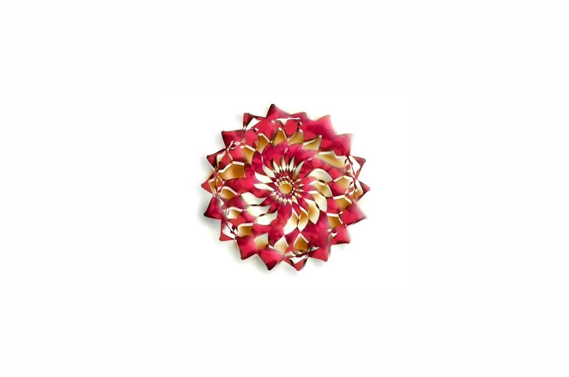 Flor fractal Flor fractal