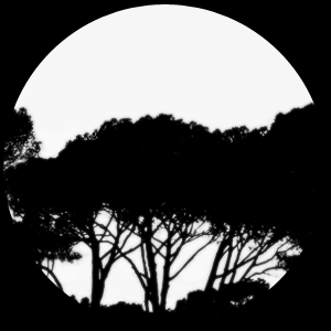 Fotografías